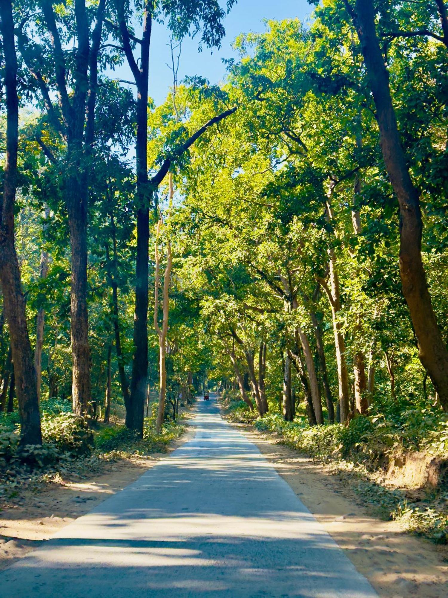 Forest Creek Resort Kiari - A Luxury 4 Star Resort Ramnagar  Bagian luar foto